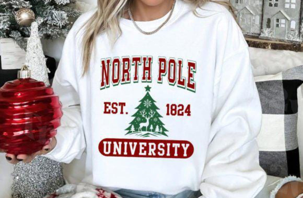 North Pole University